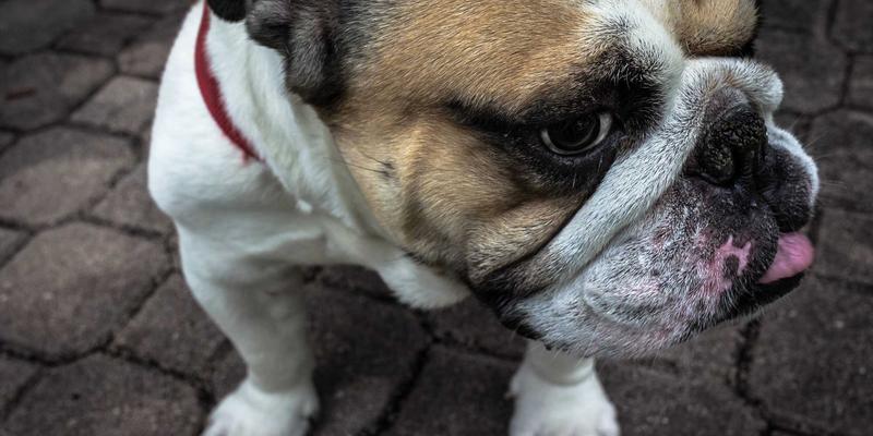 Coppertone82：经典防晒品牌的科技传承与夏日守护之道