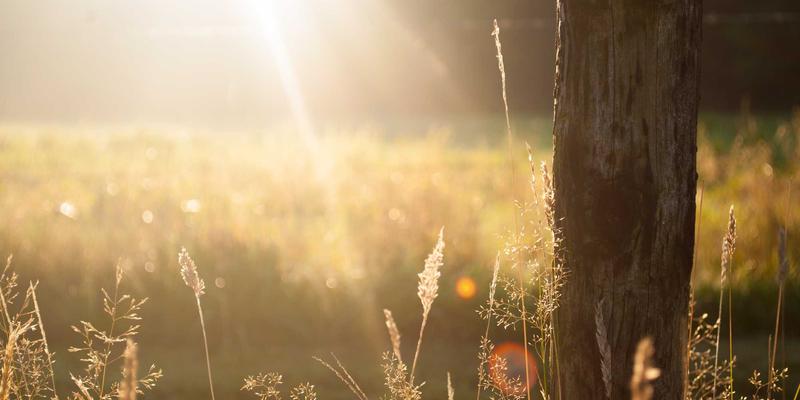 Coppertone93：揭秘经典防晒如何守护你的海滩假日与日常护肤