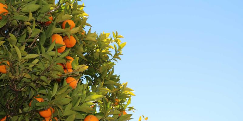 Coppertone广谱防晒技术解析：防晒霜与防晒喷雾如何协同抵御UVA/UVB深层伤害